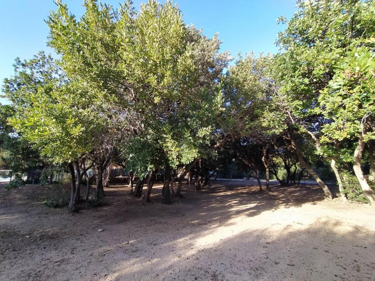 New Camping Coccorrocci Marina di Gairo Exterior foto