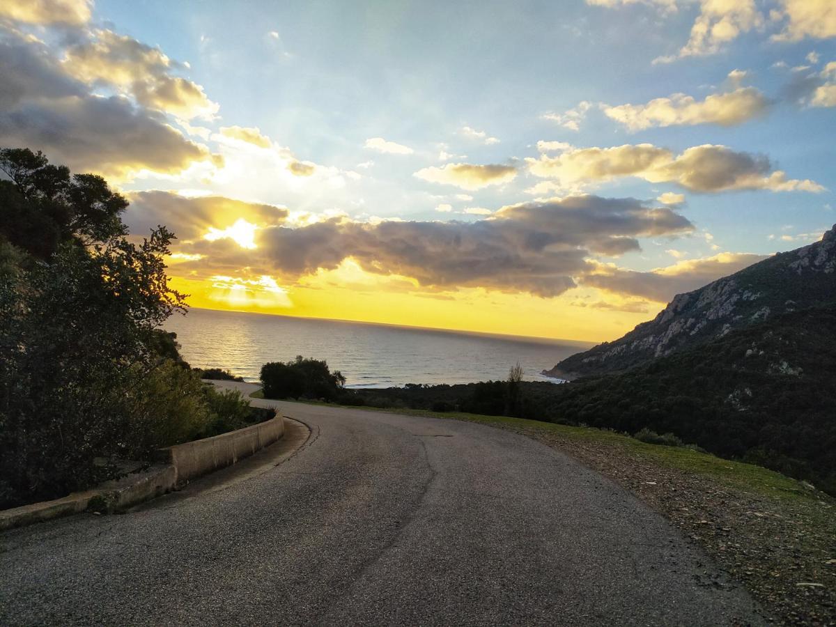 New Camping Coccorrocci Marina di Gairo Exterior foto
